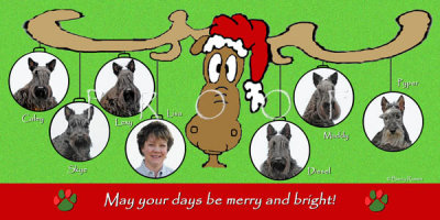 Gomes holiday card