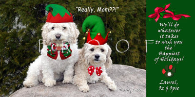 Olexa holiday card