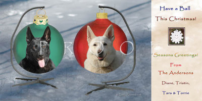 Anderson holiday card