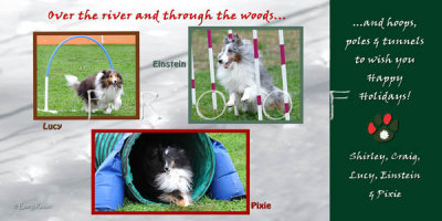 Dorion holiday card