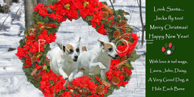 Donegan holiday card