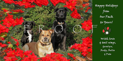 Russo holiday card
