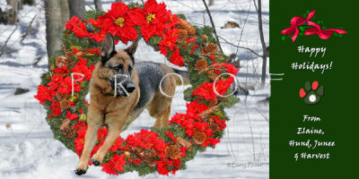 Strek holiday card