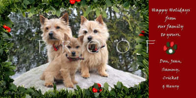 Krantz holiday card