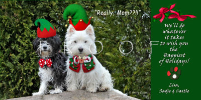 Tibbals holiday card