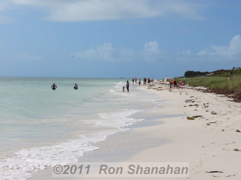 SX40 HS_IMG_0167.jpg