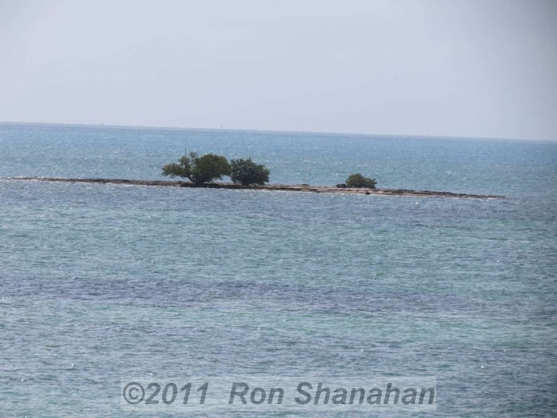 SX40 HS_IMG_0175.jpg