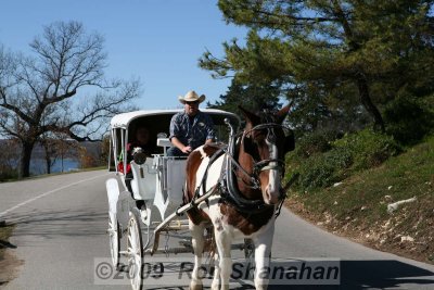 5D_IMG_8003.jpg