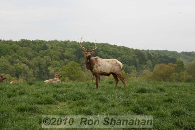 5D_IMG_8977.jpg