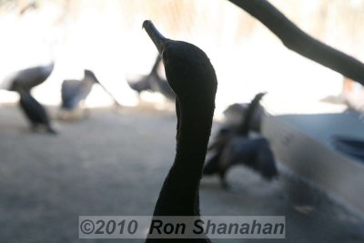5D_IMG_0144.jpg
