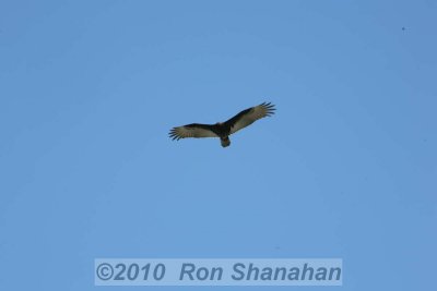 5D_IMG_0181.jpg