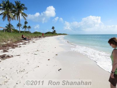 SX40 HS_IMG_0130.jpg
