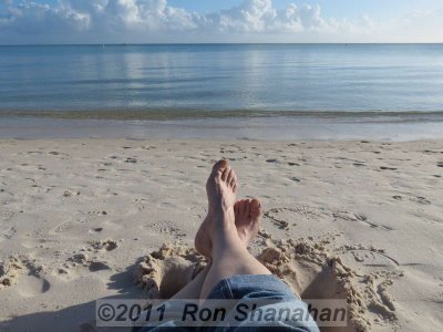 SX40 HS_IMG_0202.jpg