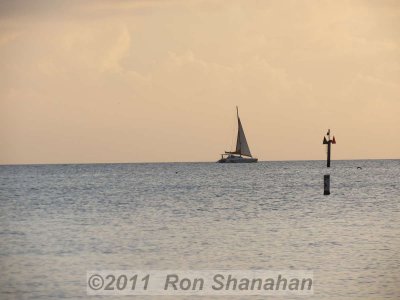 SX40 HS_IMG_0210.jpg