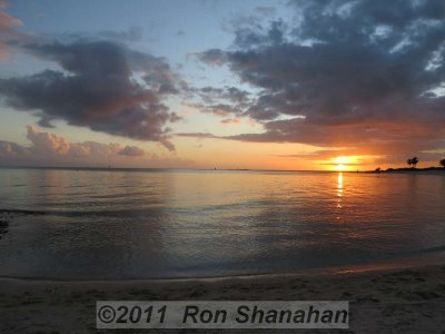 SX40 HS_IMG_0218.jpg