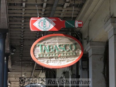 SX40 HS_IMG_0730.jpg