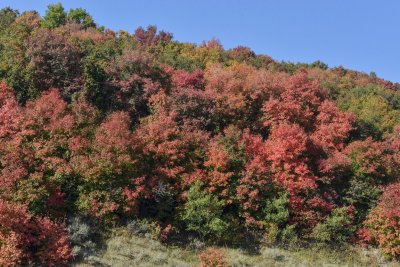 Logan Canyon 2012