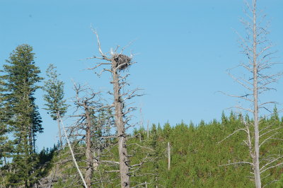 DSC_0178.JPG