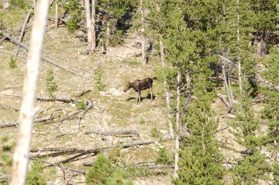 DSC_0198.JPG