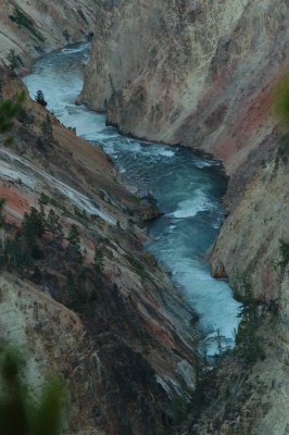 DSC_0229.JPG