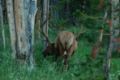 DSC_0265.JPG