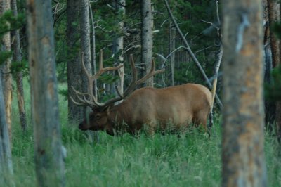 Montana Trip Part 3