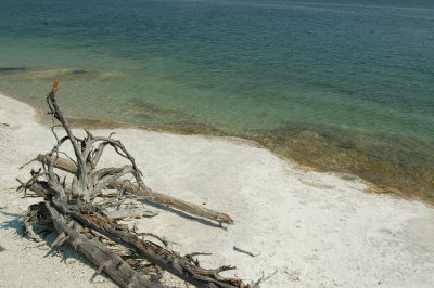 DSC_0024.JPG
