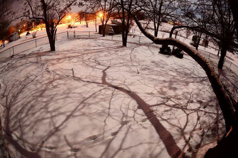 Night Moon Shadows