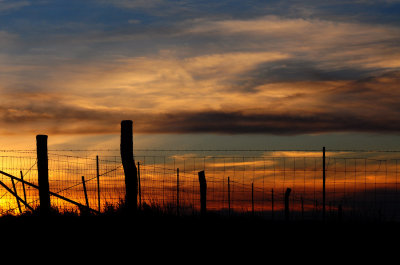 Sunset with Barbed Wire Fence