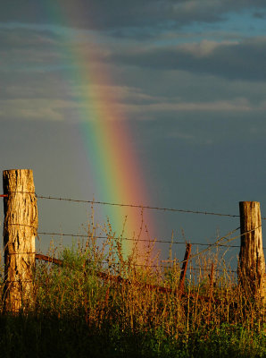 Rainbow & Fence