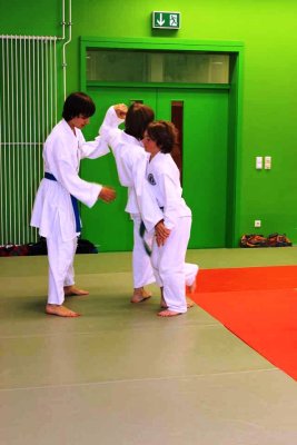 Aikido (111).jpg