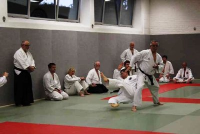 Aikido (137).jpg