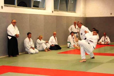Aikido (138).jpg