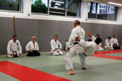 Aikido (143).jpg