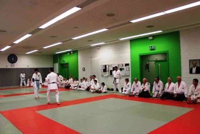 Aikido (153).jpg