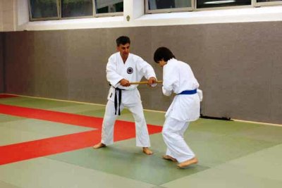 Aikido (185).jpg