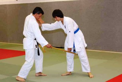 Aikido (213).jpg