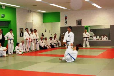Aikido (223).jpg