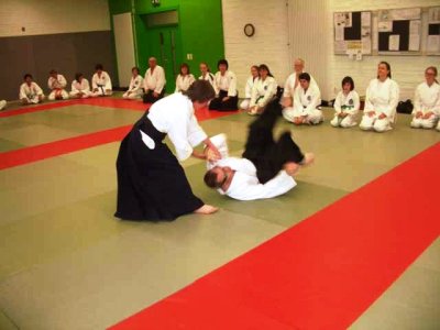 Aikido (254).jpg