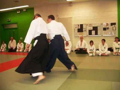 Aikido (259).jpg