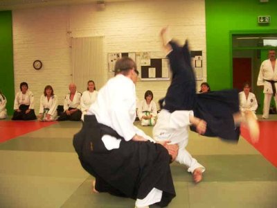 Aikido (260).jpg