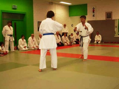 Aikido (270).jpg