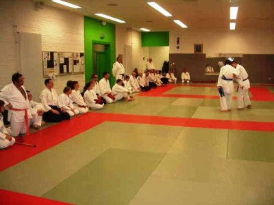 Aikido (272).jpg
