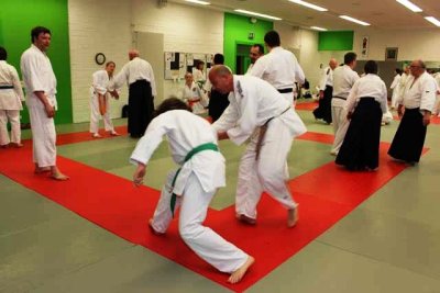 Aikido (40).jpg