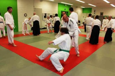 Aikido (41).jpg