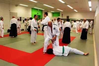 Aikido (43).jpg
