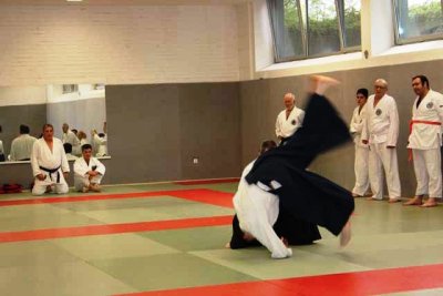 Aikido (49).jpg