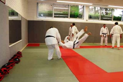 Aikido (6).jpg