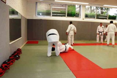 Aikido (7).jpg