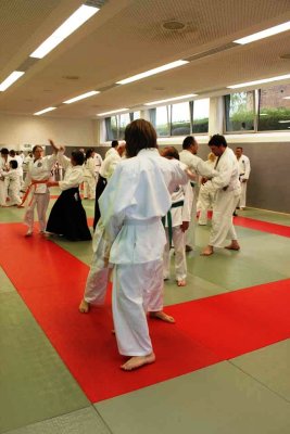 Aikido (70).jpg